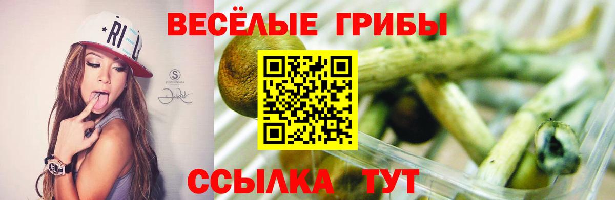 Псилоцибиновые грибы мухоморы Пушкино